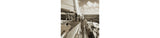 Arlanford Sepia Wall Art by Ashley at Eve Furniture