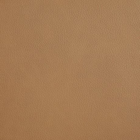 Armstrong Camel Upholstered Power Lift Massage Recliner by Coaster at Eve Furniture