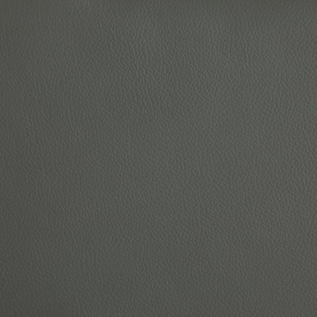 Armstrong Gray Upholstered Power Lift Massage Recliner by Coaster at Eve Furniture