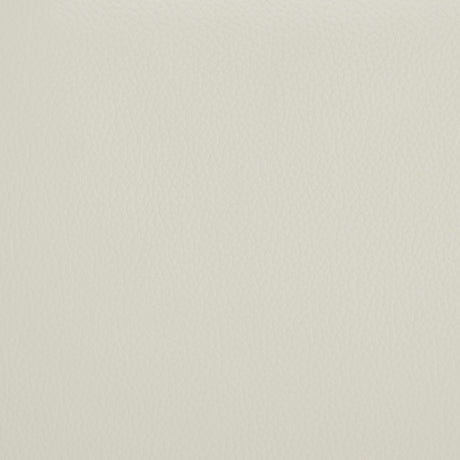 Armstrong Ivory Upholstered Power Lift Massage Recliner by Coaster at Eve Furniture