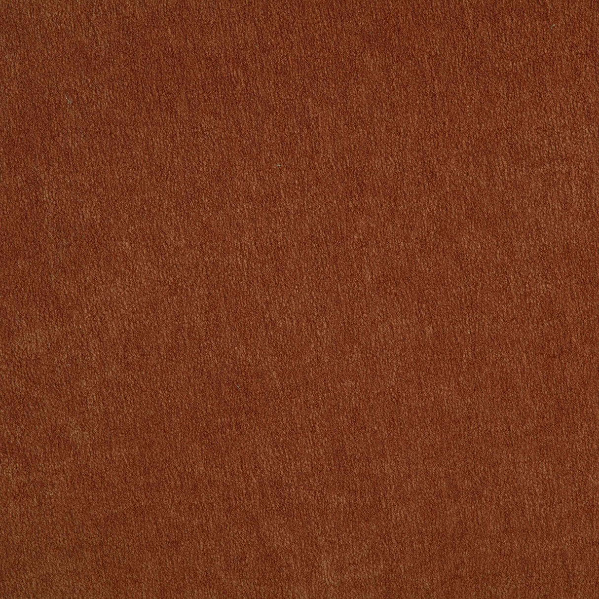 Arnaud Burnt Orange Chenille Upholstered Swivel Accent Chair by Coaster at Eve Furniture