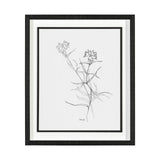 Arrangement II by Hiraki a Framed Art Print Matted under Glass by Mercana at Eve Furniture