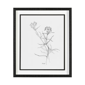 Arrangement II by Hiraki a Framed Art Print Matted under Glass by Mercana at Eve Furniture