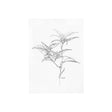 Arrangement IV by Hiraki a Hand Embellished Textured Canvas by Mercana at Eve Furniture
