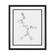 Arrangement V by Hiraki a Framed Art Print Matted under Glass by Mercana at Eve Furniture