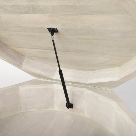 Arreto Natural Solid Wood Hexagonal Storage Coffee Table by Mercana at Eve Furniture
