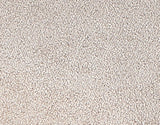 Artemis Beige Chenille Velvet 24″ Counter Stool by Steve Silver at Eve Furniture