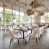 Artus Ivory Dining Chair by Zuomod at Eve Furniture