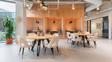 Artus Ivory Dining Chair by Zuomod at Eve Furniture