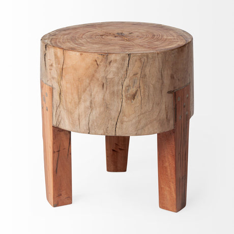 Asco Rustic Solid Reclaimed Wood Stool by Mercana at Eve Furniture