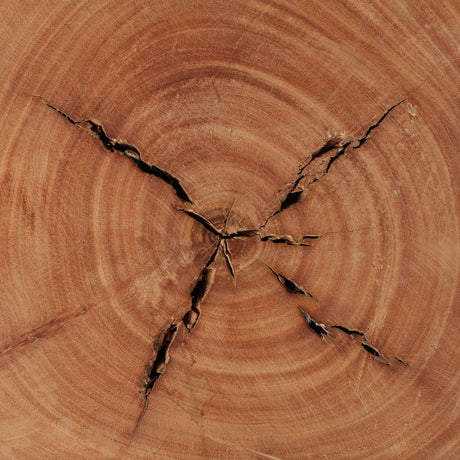 Asco Rustic Solid Reclaimed Wood Stool by Mercana at Eve Furniture