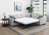 Ashford Greige Chenille Upholstered Sleeper Sectional Sofa by Coaster at Eve Furniture