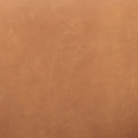 Ashton Brown Leather w/ Light Wood Accent Chair by Mercana at Eve Furniture