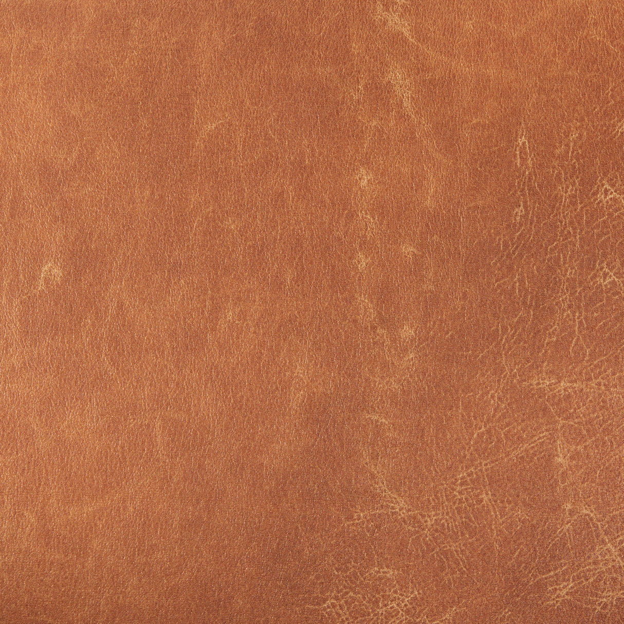 Ashton Brown Vegan Leather w/ Light Wood Accent Chair by Mercana at Eve Furniture