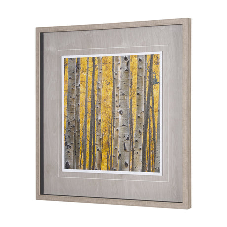 Aspen Trees 3 by Jamie Cook a Hand Embelished Textured Framed Photo Art Print Matted under Glass by Mercana at Eve Furniture