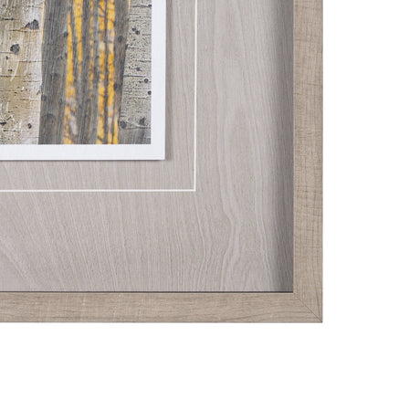 Aspen Trees 3 by Jamie Cook a Hand Embelished Textured Framed Photo Art Print Matted under Glass by Mercana at Eve Furniture
