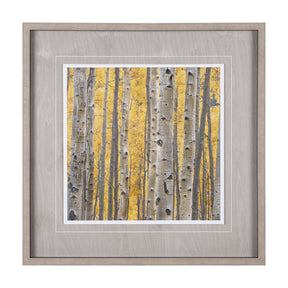 Aspen Trees 3 by Jamie Cook a Hand Embelished Textured Framed Photo Art Print Matted under Glass by Mercana at Eve Furniture