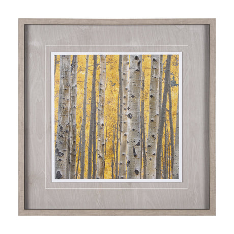 Aspen Trees 3 by Jamie Cook a Hand Embelished Textured Framed Photo Art Print Matted under Glass by Mercana at Eve Furniture