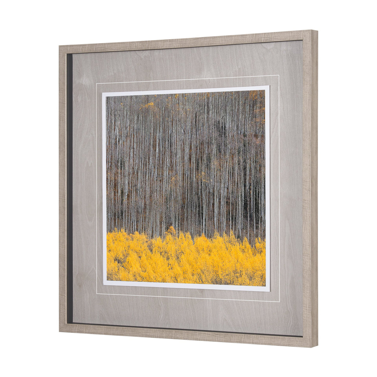 Aspen Trees 4 by Jamie Cook a Hand Embelished Textured Framed Photo Art Print Matted under Glass by Mercana at Eve Furniture