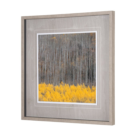 Aspen Trees 4 by Jamie Cook a Hand Embelished Textured Framed Photo Art Print Matted under Glass by Mercana at Eve Furniture