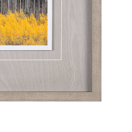 Aspen Trees 4 by Jamie Cook a Hand Embelished Textured Framed Photo Art Print Matted under Glass by Mercana at Eve Furniture