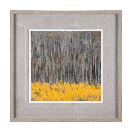 Aspen Trees 4 by Jamie Cook a Hand Embelished Textured Framed Photo Art Print Matted under Glass by Mercana at Eve Furniture