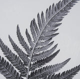 Aspire by Debra Van Swearingen a Hand Embellished Framed Photo Art Print Matted under Glass by Mercana at Eve Furniture