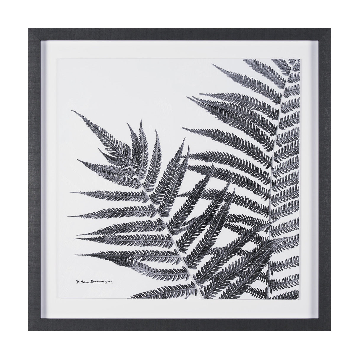 Aspire by Debra Van Swearingen a Hand Embellished Framed Photo Art Print Matted under Glass by Mercana at Eve Furniture