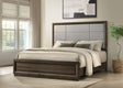 Atlas Grey/Dark Oak 63-inch Queen Upholstered Panel Bed by Coaster at Eve Furniture