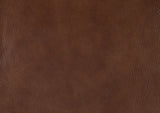 Attleboro Brown Leather Chair by Homelegance at Eve Furniture
