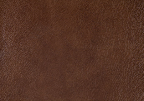 Attleboro Brown Leather Sofa by Homelegance at Eve Furniture