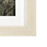 August Studios 7873 by August Studios a Framed Photo Art Print Matted under Glass by Mercana at Eve Furniture
