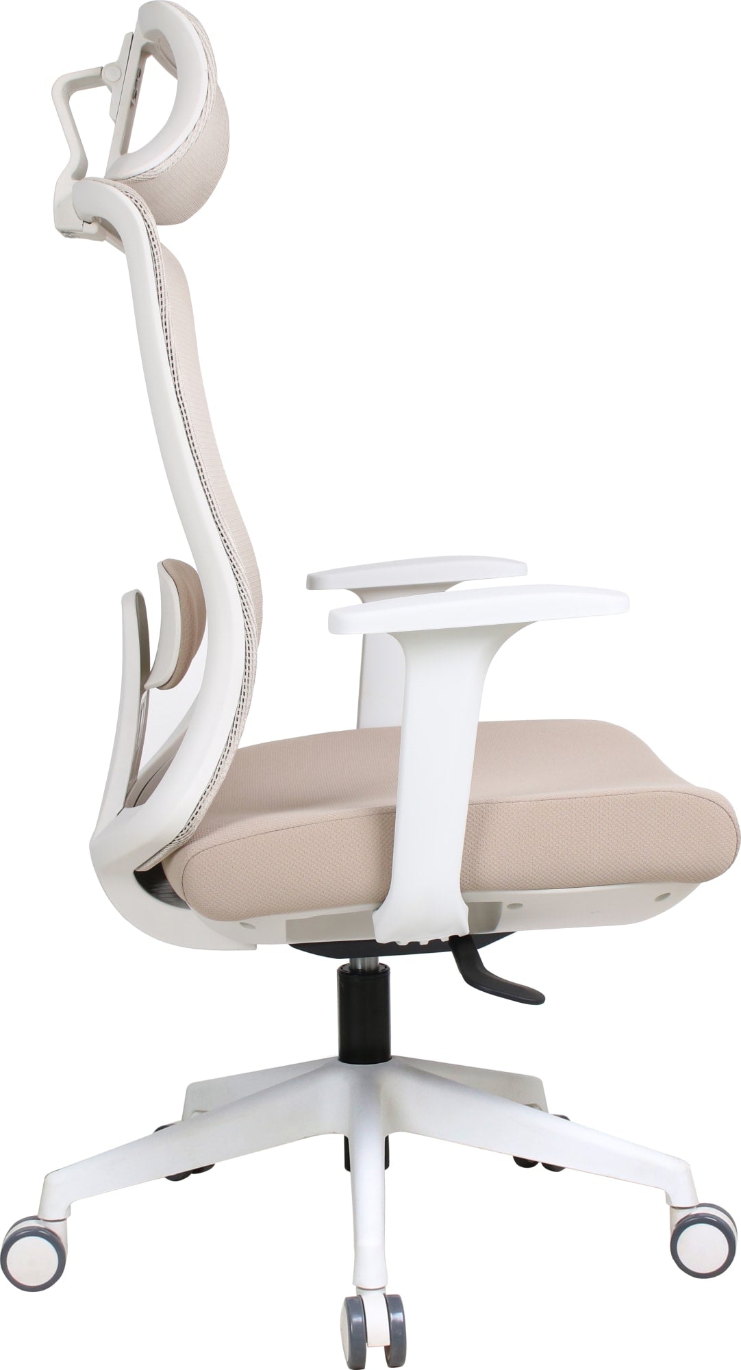 Aura Petal Swivel Chair
