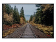 Autumn Tracks Brown/Green Wall Art by Crestview at Eve Furniture
