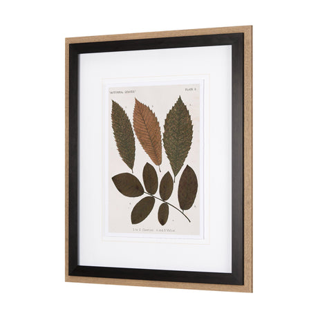 Autumnal Leaves I by Vision Studio a Framed Art Print Matted under Glass by Mercana at Eve Furniture