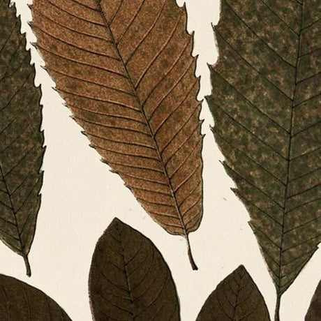 Autumnal Leaves I by Vision Studio a Framed Art Print Matted under Glass by Mercana at Eve Furniture