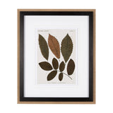 Autumnal Leaves I by Vision Studio a Framed Art Print Matted under Glass by Mercana at Eve Furniture
