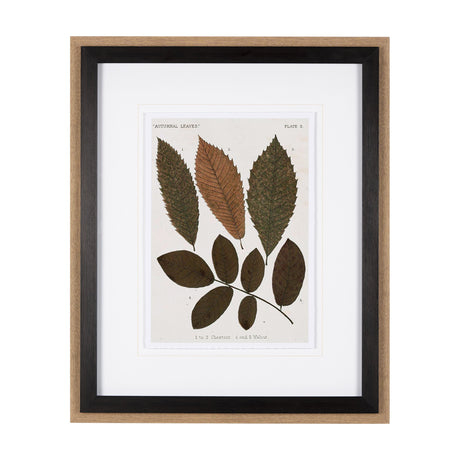 Autumnal Leaves I by Vision Studio a Framed Art Print Matted under Glass by Mercana at Eve Furniture