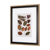 Autumnal Leaves II by Vision Studio a Framed Art Print Matted under Glass by Mercana at Eve Furniture