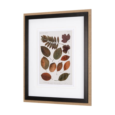 Autumnal Leaves II by Vision Studio a Framed Art Print Matted under Glass by Mercana at Eve Furniture
