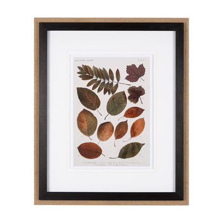 Autumnal Leaves II by Vision Studio a Framed Art Print Matted under Glass by Mercana at Eve Furniture