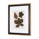 Autumnal Leaves III by Vision Studio a Framed Art Print Matted under Glass by Mercana at Eve Furniture
