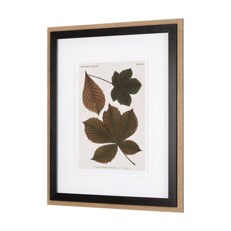 Autumnal Leaves III by Vision Studio a Framed Art Print Matted under Glass by Mercana at Eve Furniture