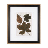 Autumnal Leaves III by Vision Studio a Framed Art Print Matted under Glass by Mercana at Eve Furniture