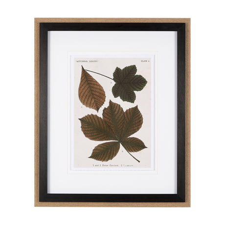 Autumnal Leaves III by Vision Studio a Framed Art Print Matted under Glass by Mercana at Eve Furniture