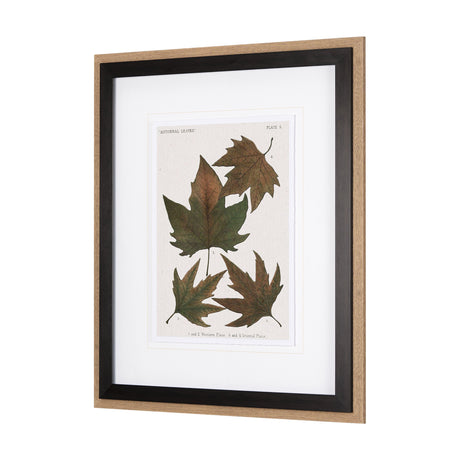 Autumnal Leaves IV by Vision Studio a Framed Art Print Matted under Glass by Mercana at Eve Furniture