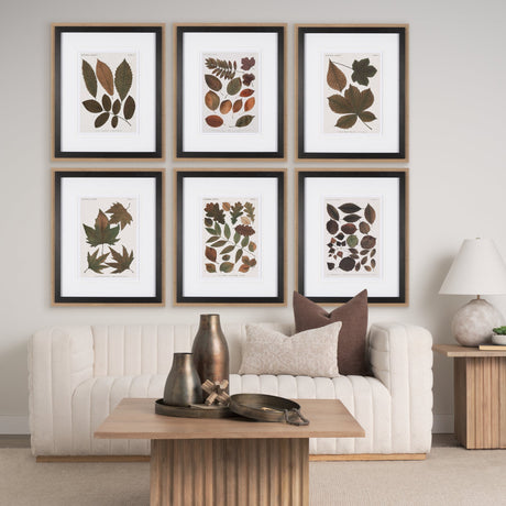 Autumnal Leaves IV by Vision Studio a Framed Art Print Matted under Glass by Mercana at Eve Furniture