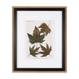 Autumnal Leaves IV by Vision Studio a Framed Art Print Matted under Glass by Mercana at Eve Furniture