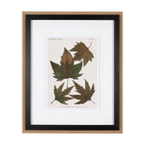 Autumnal Leaves IV by Vision Studio a Framed Art Print Matted under Glass by Mercana at Eve Furniture