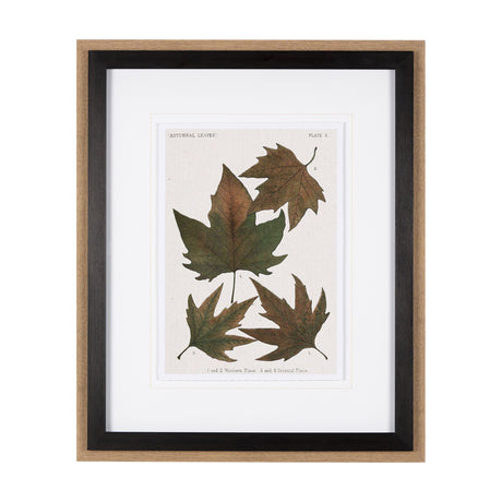 Autumnal Leaves IV by Vision Studio a Framed Art Print Matted under Glass by Mercana at Eve Furniture